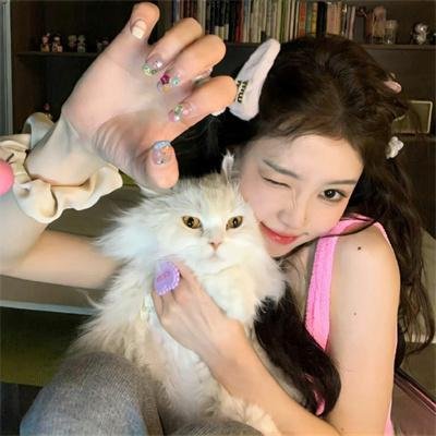 小猫钓鱼