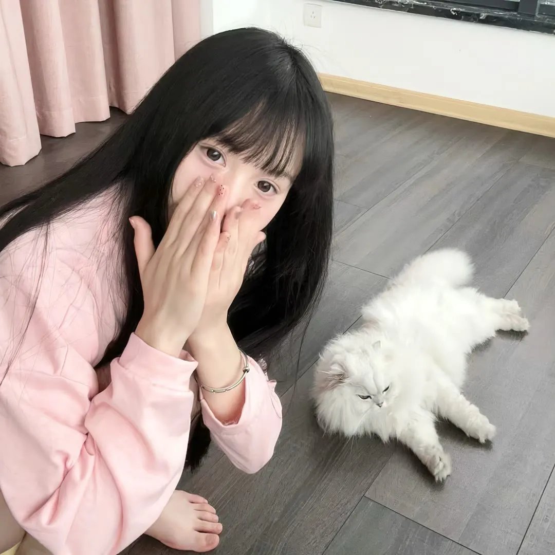 胡同交响曲